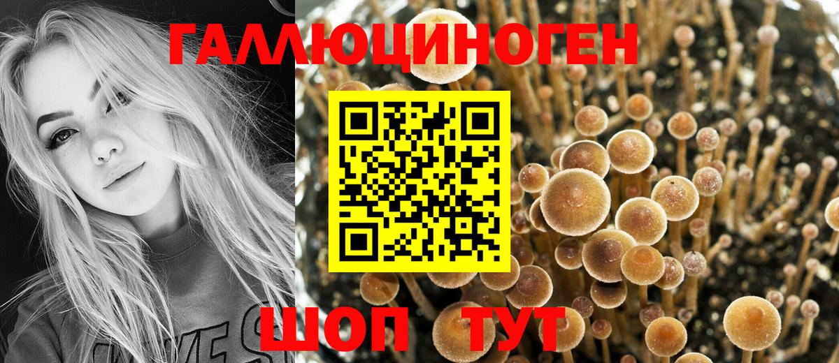 Псилоцибиновые грибы прущие грибы  Вход с VPN  Сургут 
